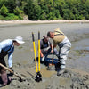 Geoduck Tube